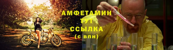 прущие крисы Мегион