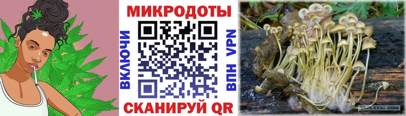 Галлюциногенные грибы Cubensis  купить закладку  Волжский 