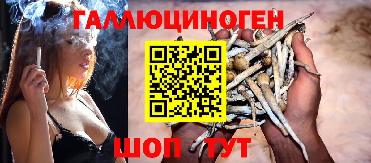 Галлюциногенные грибы прущие грибы Волжский