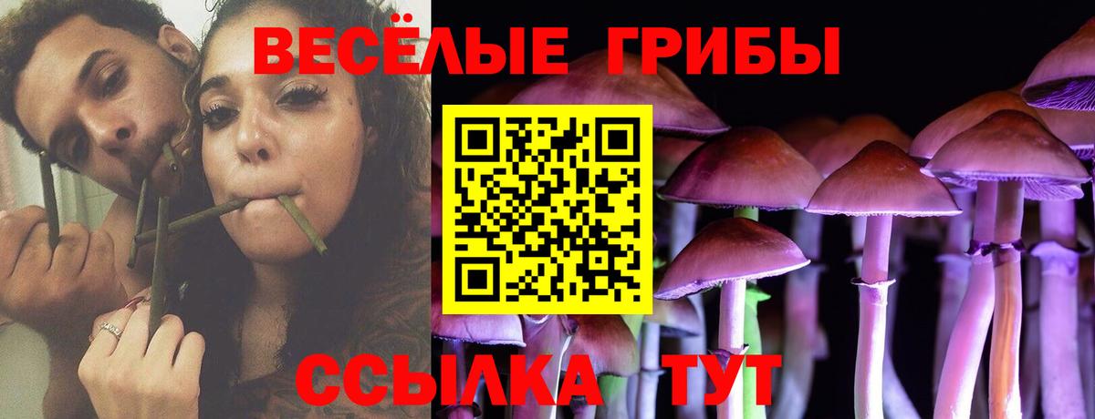 Галлюциногенные грибы Psilocybe  Волжский 